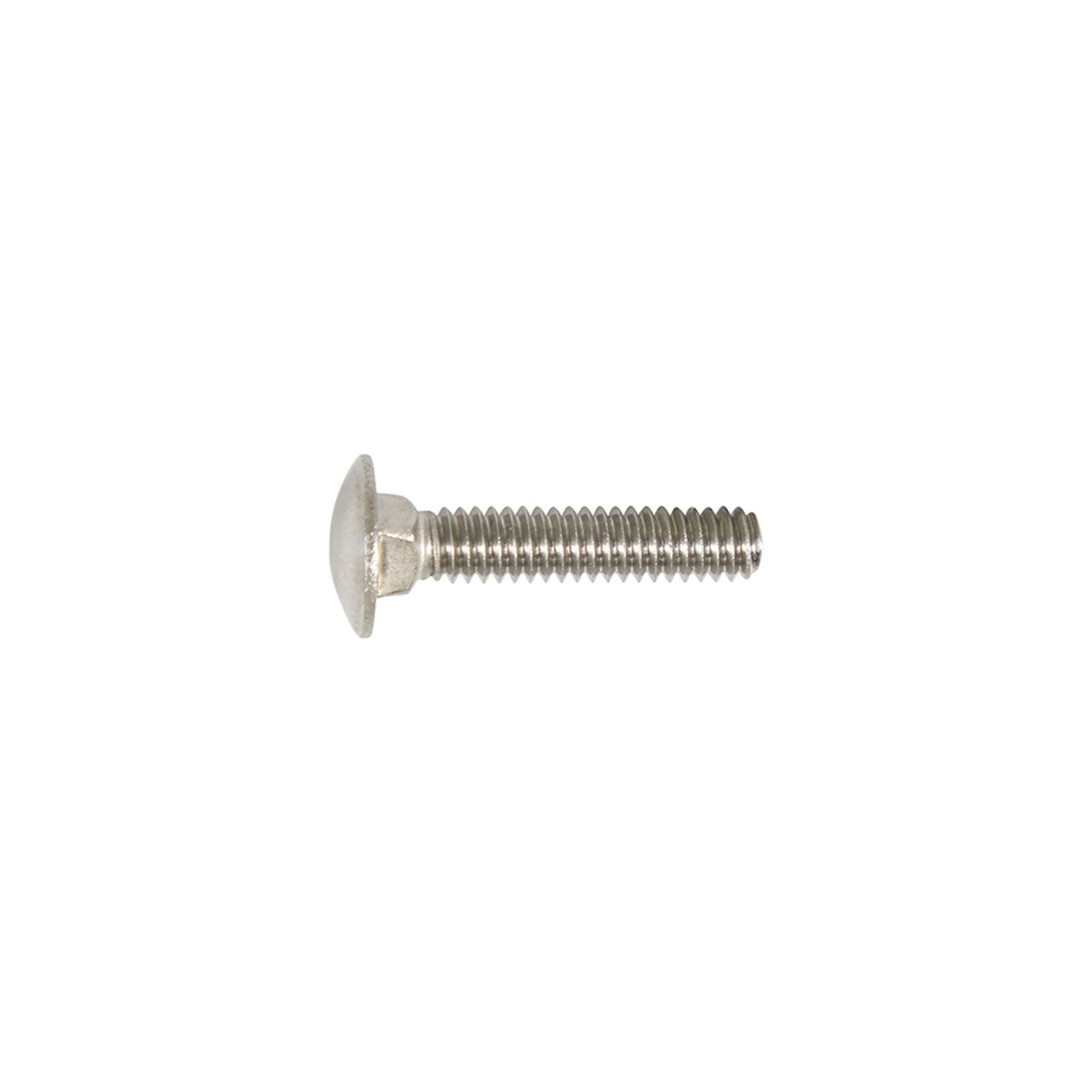 1/4-20 x 1-1/4 Conquest Carriage Bolt - 304 Stainless Steel