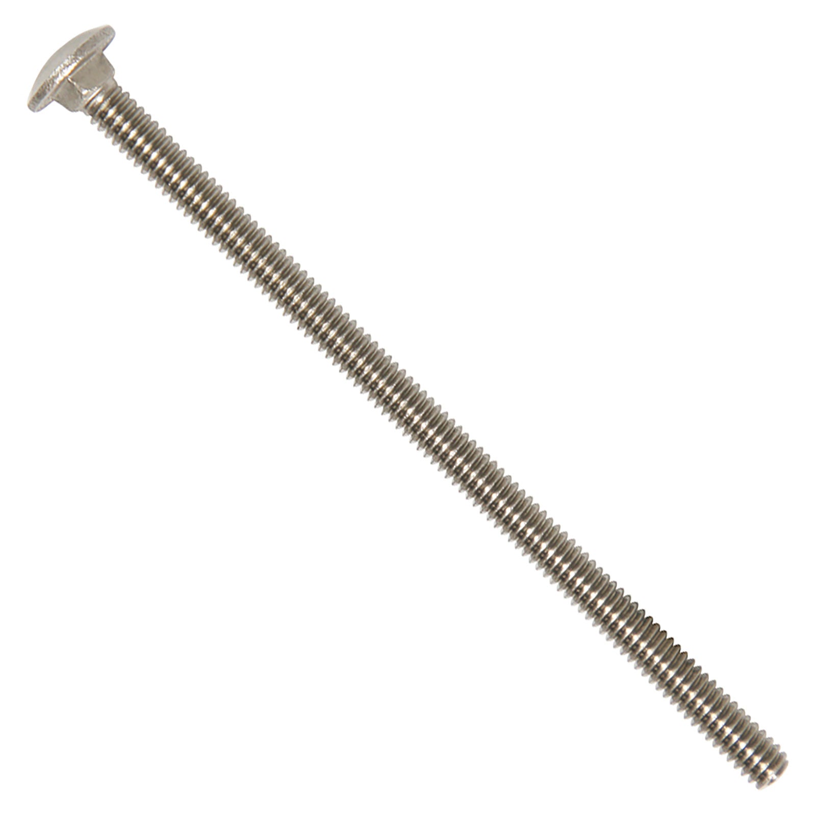 1/4"-20 x 5" Conquest Carriage Bolt - 304 Stainless Steel