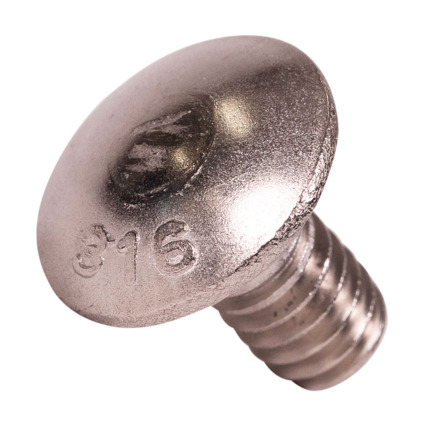 1/4"-20 x 1/2" Conquest Carriage Bolt - 316 Stainless Steel