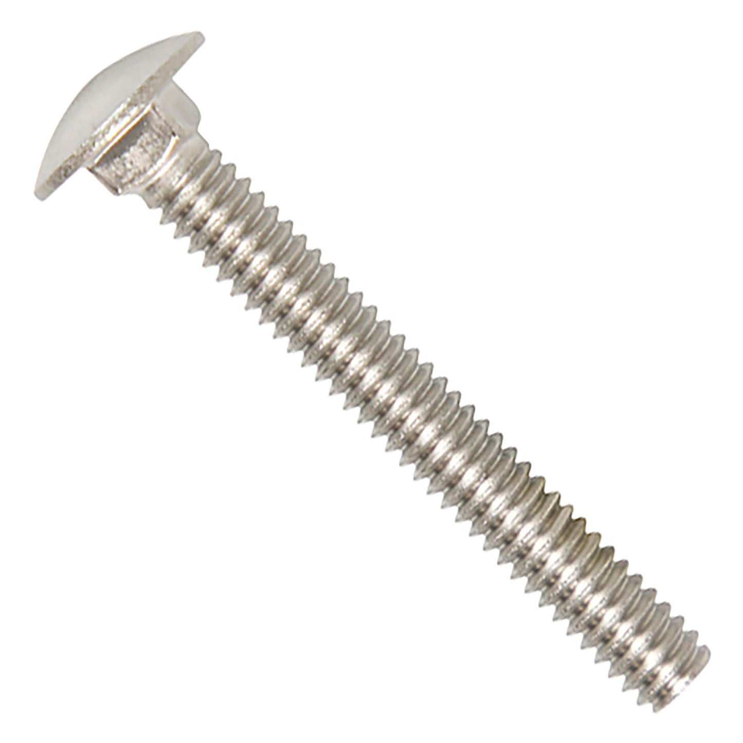 1/4"-20 x 2" Conquest Carriage Bolt - 316 Stainless Steel