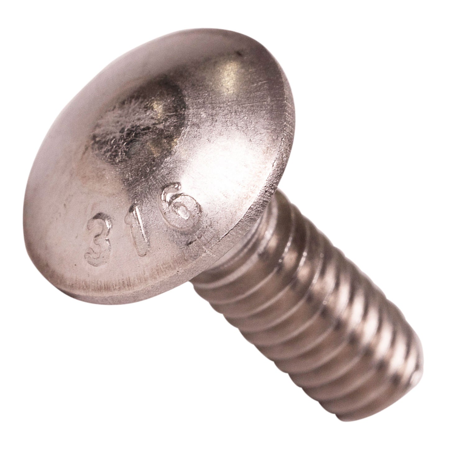 1/4"-20 x 3/4" Conquest Carriage Bolt - 316 Stainless Steel