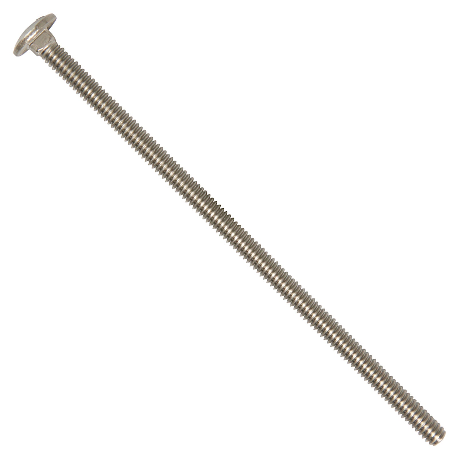 1/4"-20 x 6" Conquest Carriage Bolt - 316 Stainless Steel