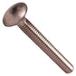 1/4"-20 x 2" Conquest Carriage Bolt - 304 Stainless Steel