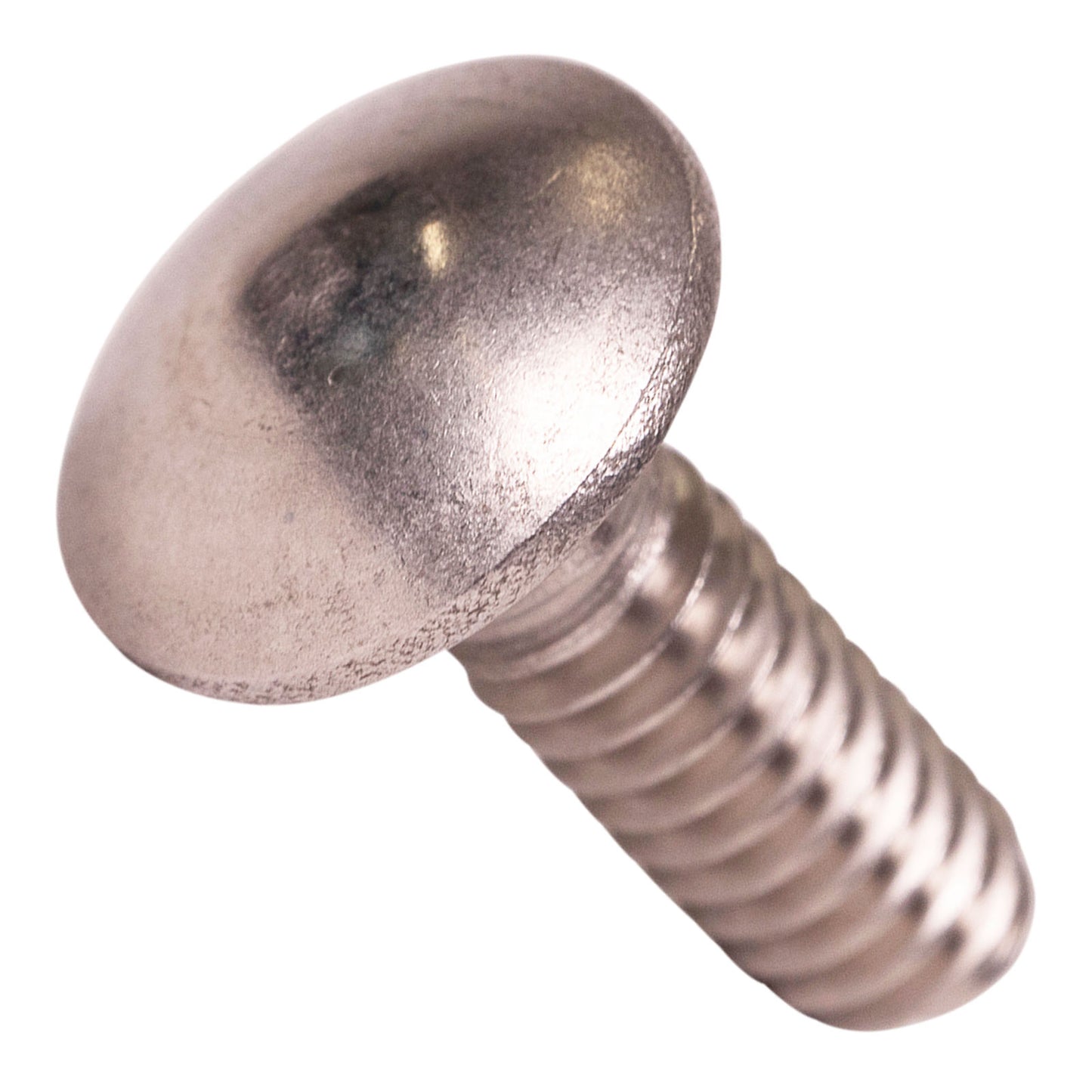 1/4"-20 x 3/4" Conquest Carriage Bolt - 304 Stainless Steel