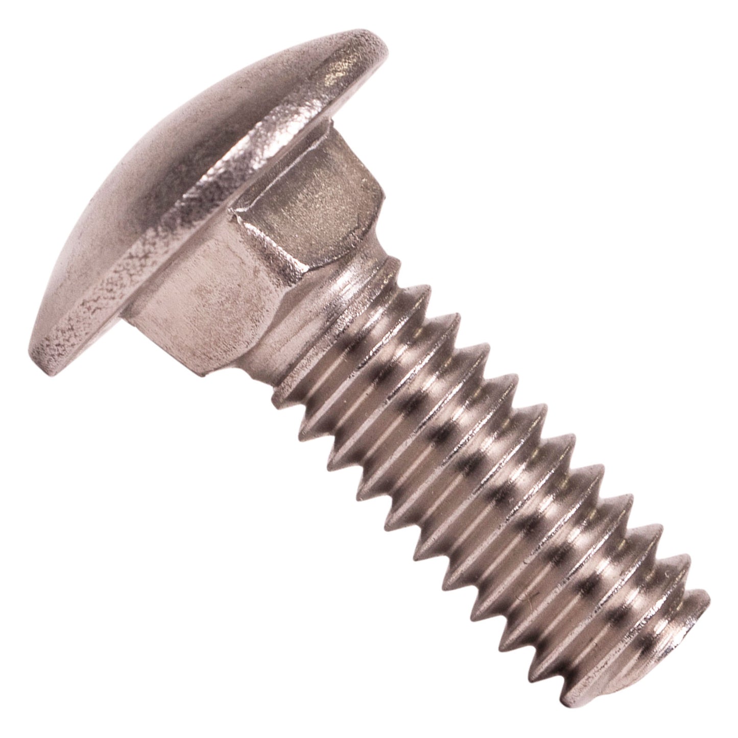 1/4"-20 x 3/4" Conquest Carriage Bolt - 304 Stainless Steel