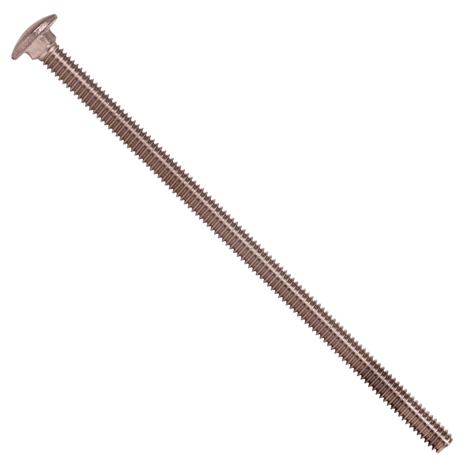 1/4"-20 x 5-1/2" Conquest Carriage Bolt - 304 Stainless Steel