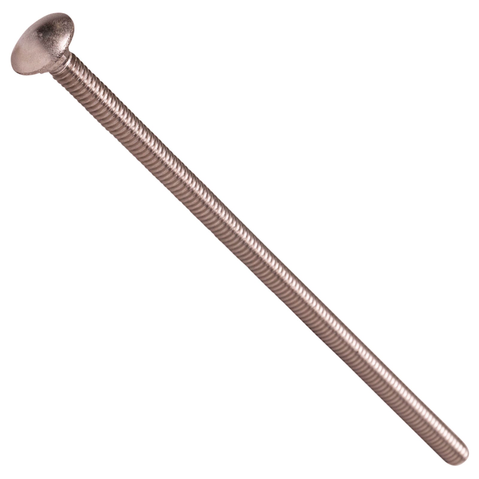 1/4"-20 x 6" Conquest Carriage Bolt - 304 Stainless Steel