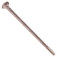 1/4"-20 x 6-1/2" Conquest Carriage Bolt - 304 Stainless Steel