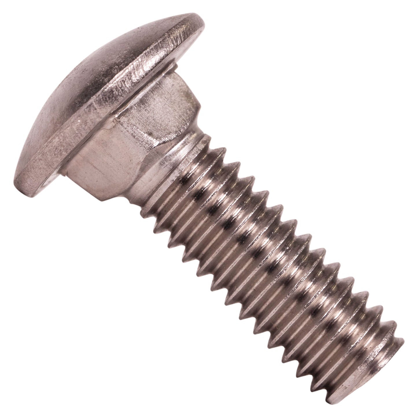 5/16"-18 x 1" Conquest Carriage Bolt - 304 Stainless Steel