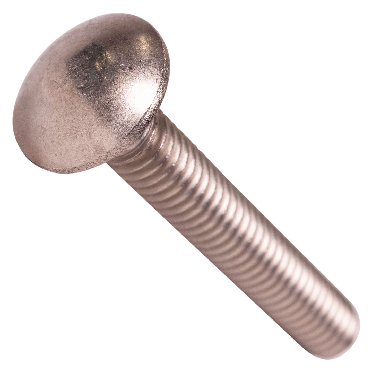 5/16"-18 x 2" Conquest Carriage Bolt - 304 Stainless Steel