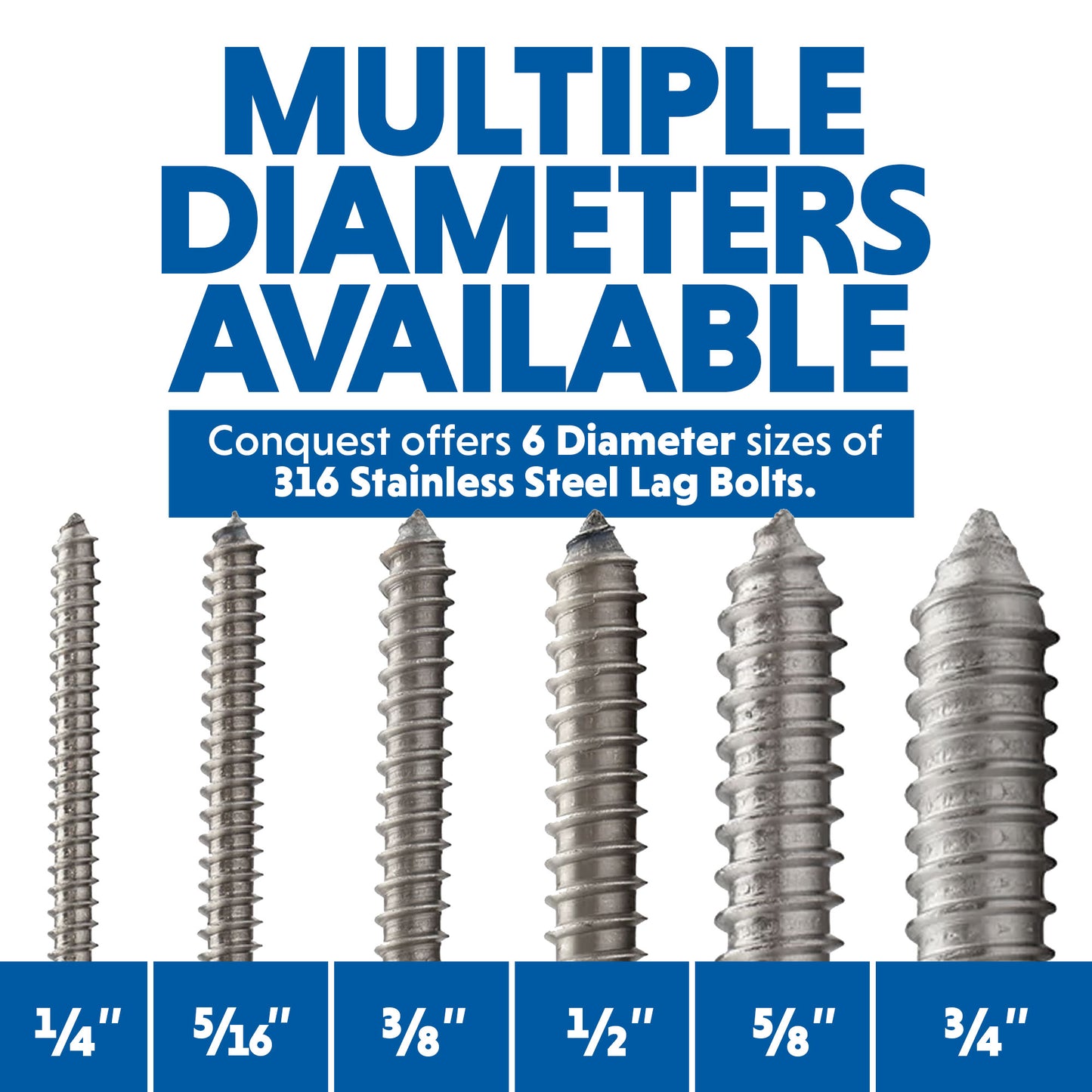 Multiple Diameters Available of 316 Stainless Steel Lag Bolts