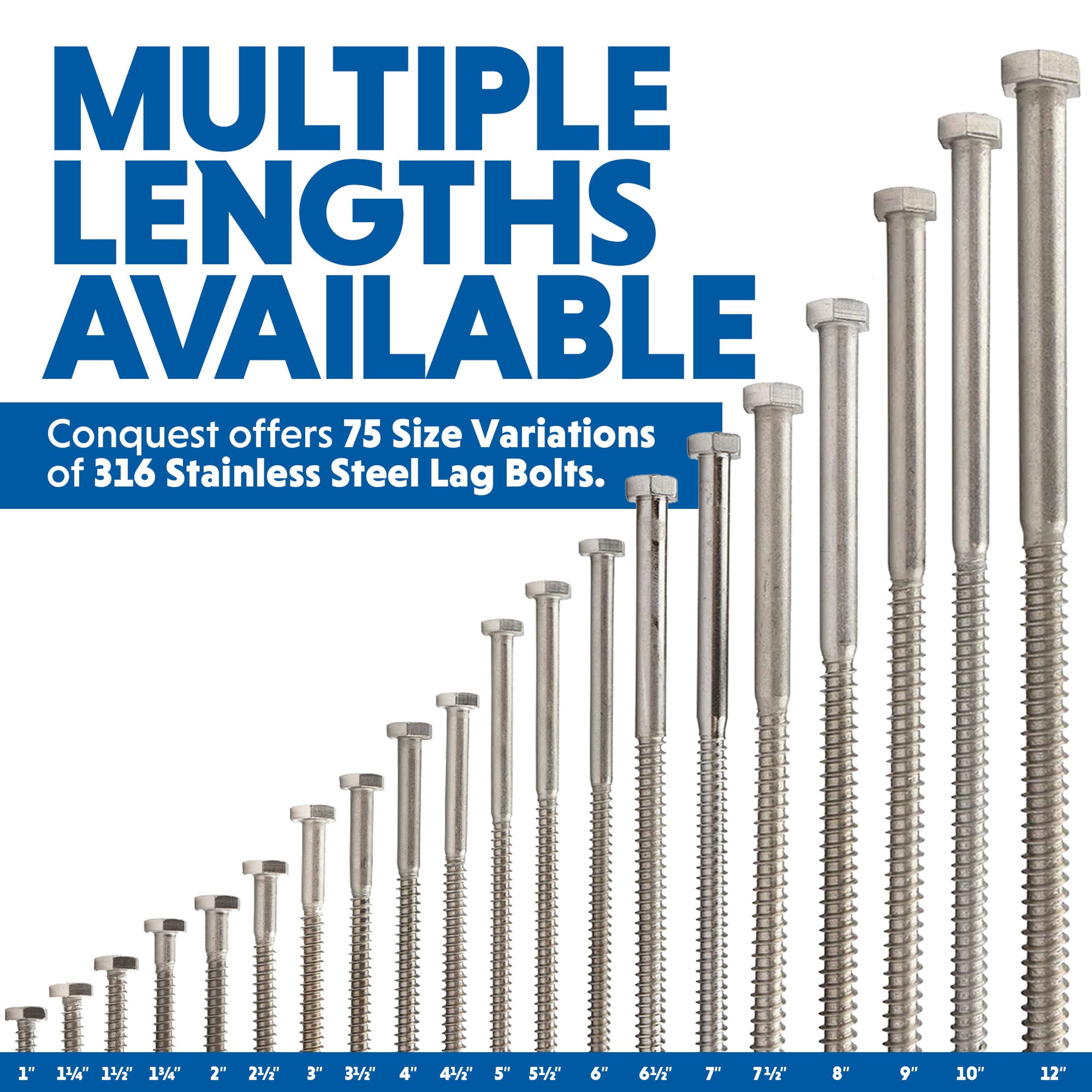 Multiple Lengths Available for 316 Stainless Steel Lag Bolts