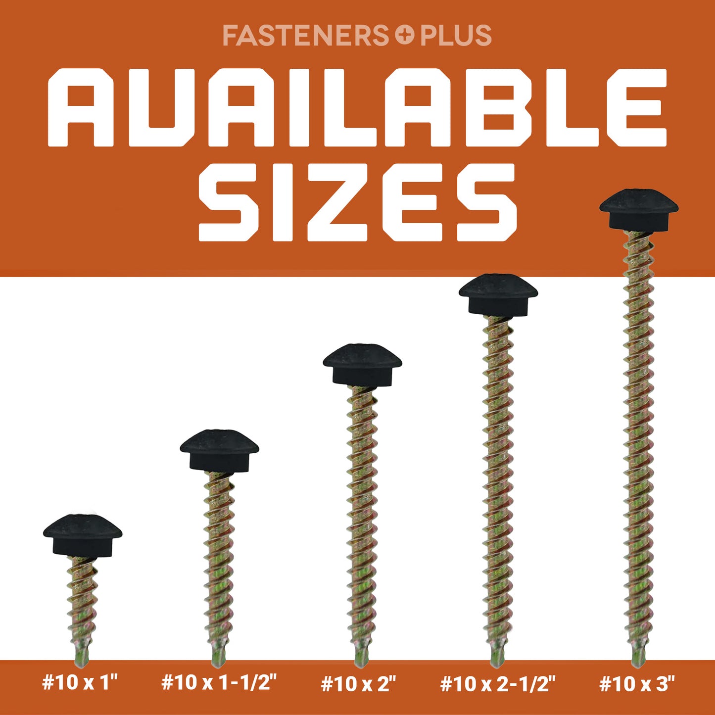 Steelbinder Eclipse Screws available in multiple sizes