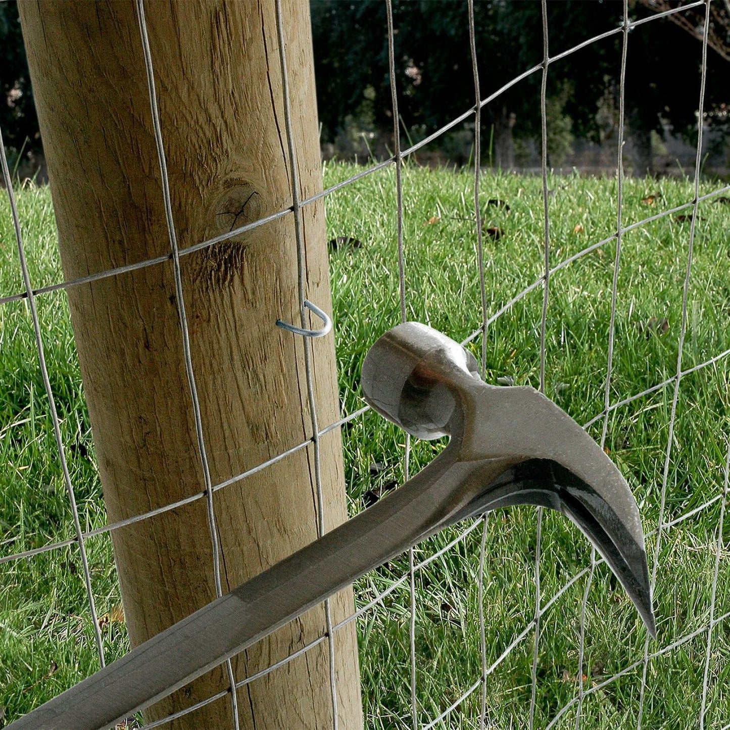 1-1/4 13 Gauge Fencing Staples - 304 Stainless Steel, 25 lb. Pkg