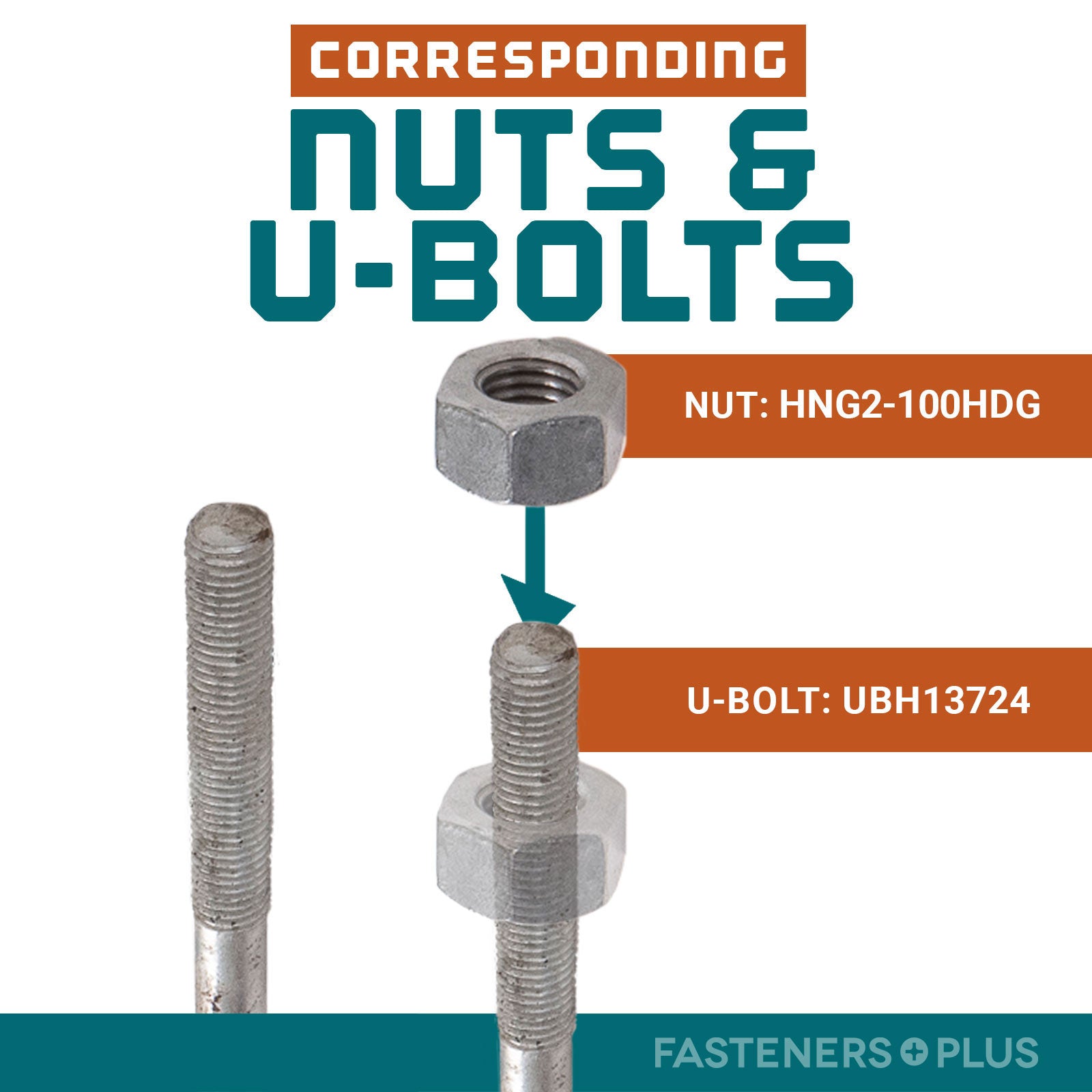 Corresponding Nuts & U-Bolts