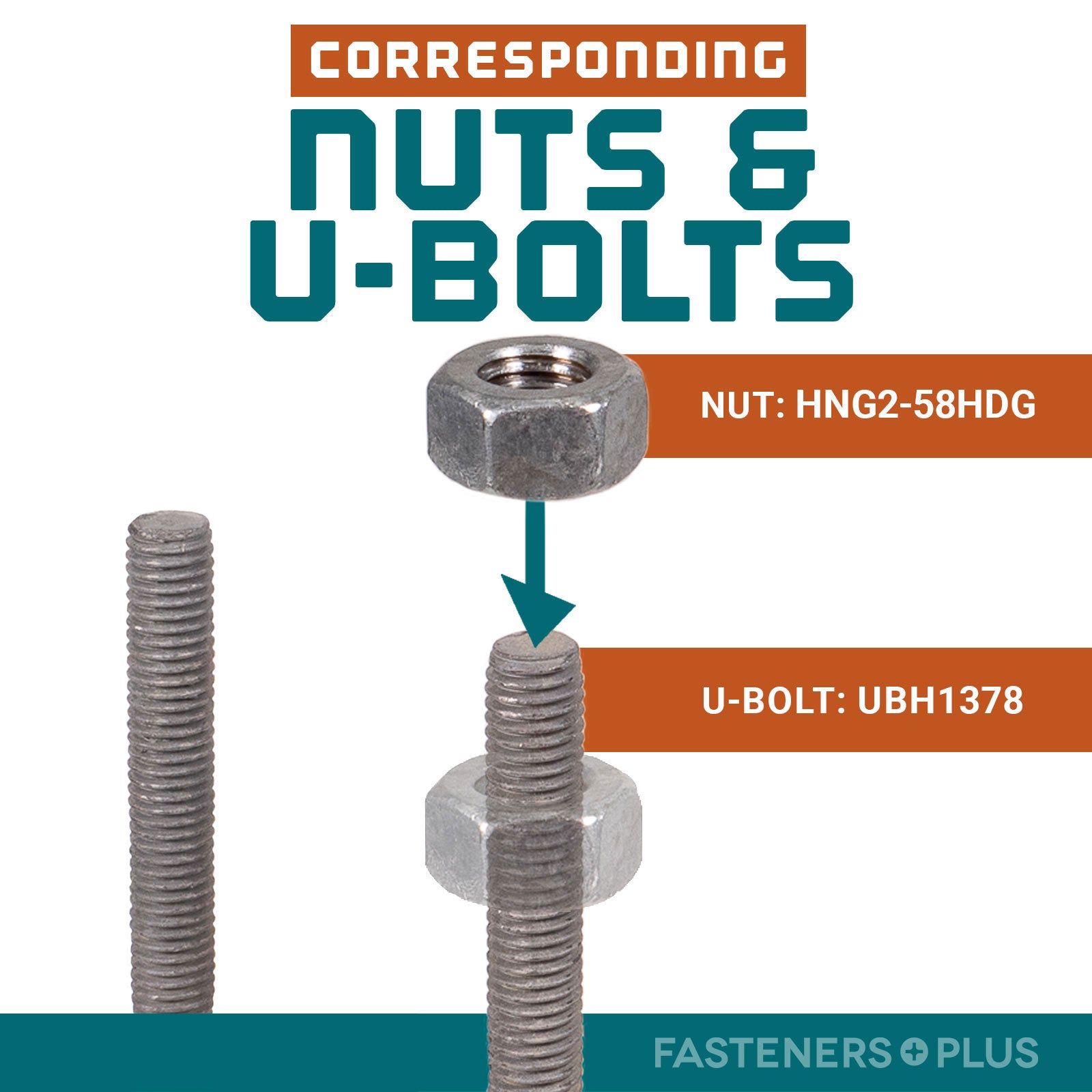 Corresponding Nuts & U-Bolts