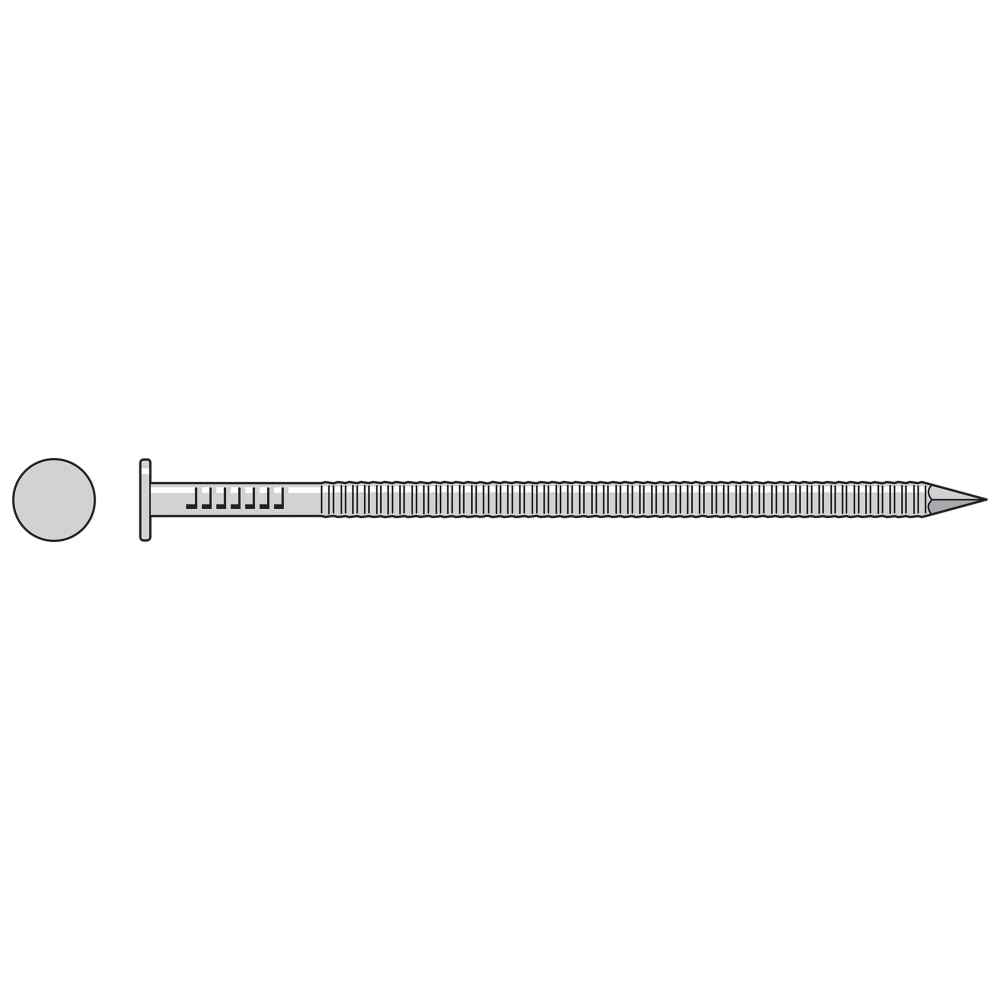 312 inch x 8 Gauge Annular Ring Shank Common Nail 304 Stainless Steel 1 lb Pkg